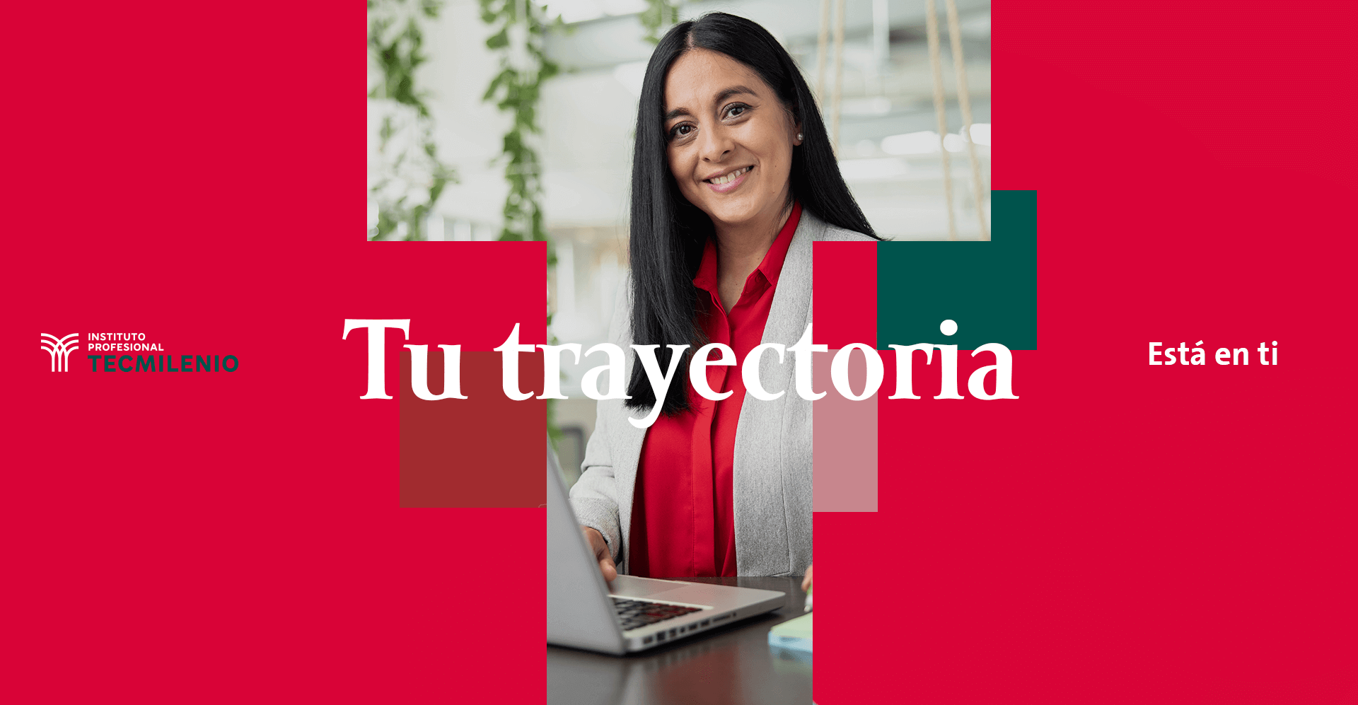 Profesional Asociado